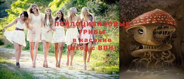ГАЛЛЮЦИНОГЕННЫЕ ГРИБЫ Сосновый Бор