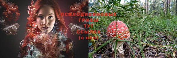 тгк Михайловка