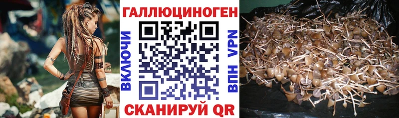 Галлюциногенные грибы ЛСД  сайты даркнета телеграм  Чёрмоз 